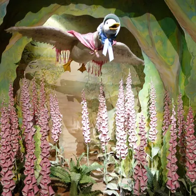 IG-小寶貝的童書森林