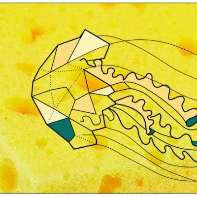 海綿水母的沙龍