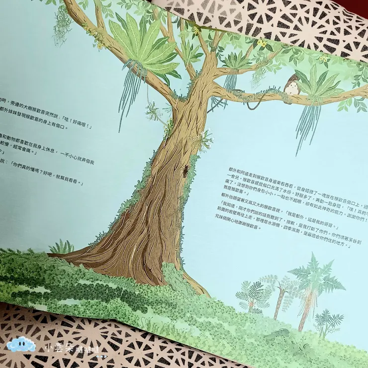 大樹身上被動物抓傷的傷口，因為苔蘚兄妹的依附，不僅溼潤了傷口，也不那麼疼痛了。