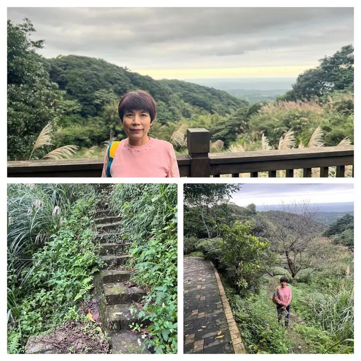 途中有數處岔路有台階進入景觀台, 然後從茶園小徑再回到產業道路。