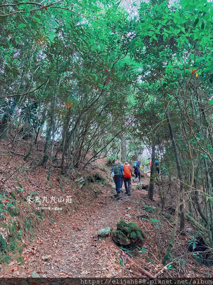 【大霸群峰4百岳。兩天一夜】觀霧大鹿林道東線騎越野單車/馬達