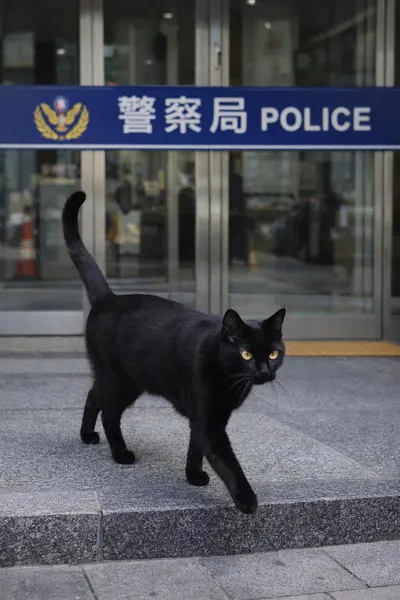 如果是警察局的黑貓局長，會叫什麼名字呢？