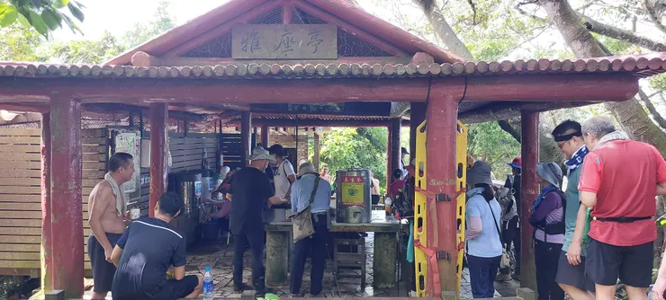 熱麥茶免費供飲