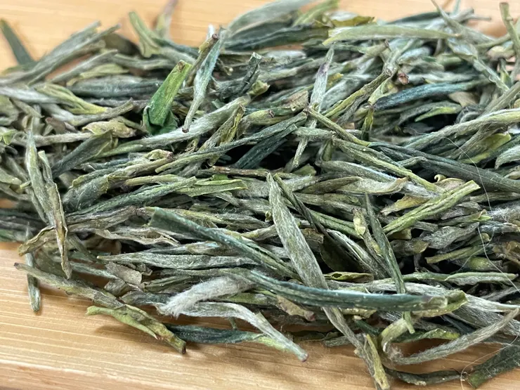 圖為霍山黃芽，其顯毫的特色，與白毫銀針十分相像。乾聞帶著乾淮山氣息，濕聞則帶著乾豆味，十分有趣。（作者拍攝）