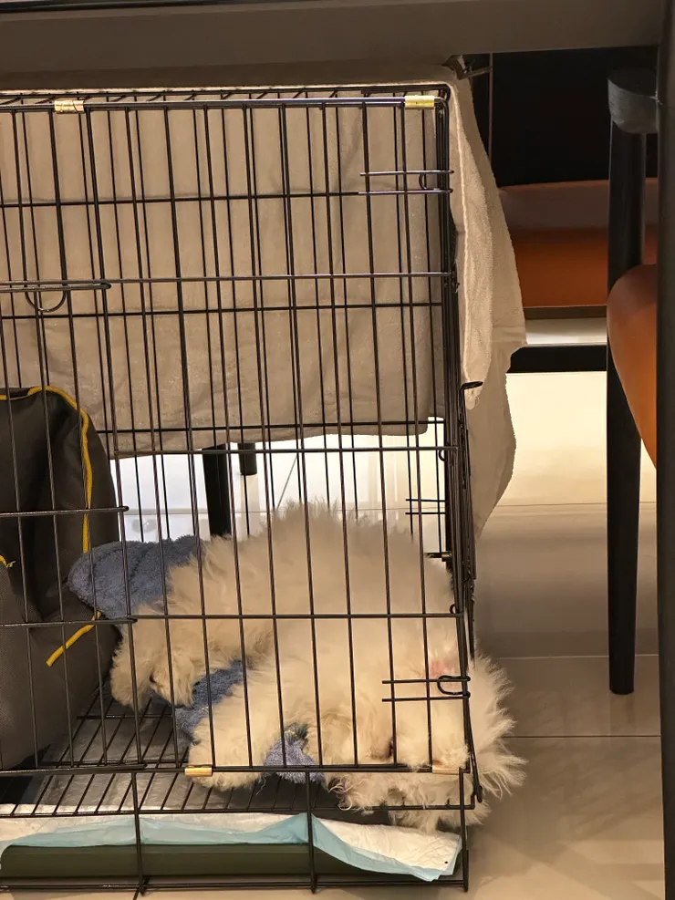 第三天早上因為前一天整晚不睡累得不行