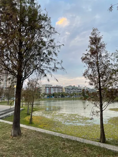 公園散步的疑惑