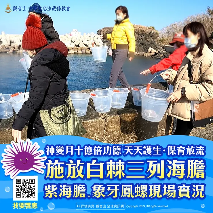 觀音山 神變月十億倍功德 天天護生‧保育放流 施放白棘三列海膽、紫海膽、象牙鳳螺現場實況