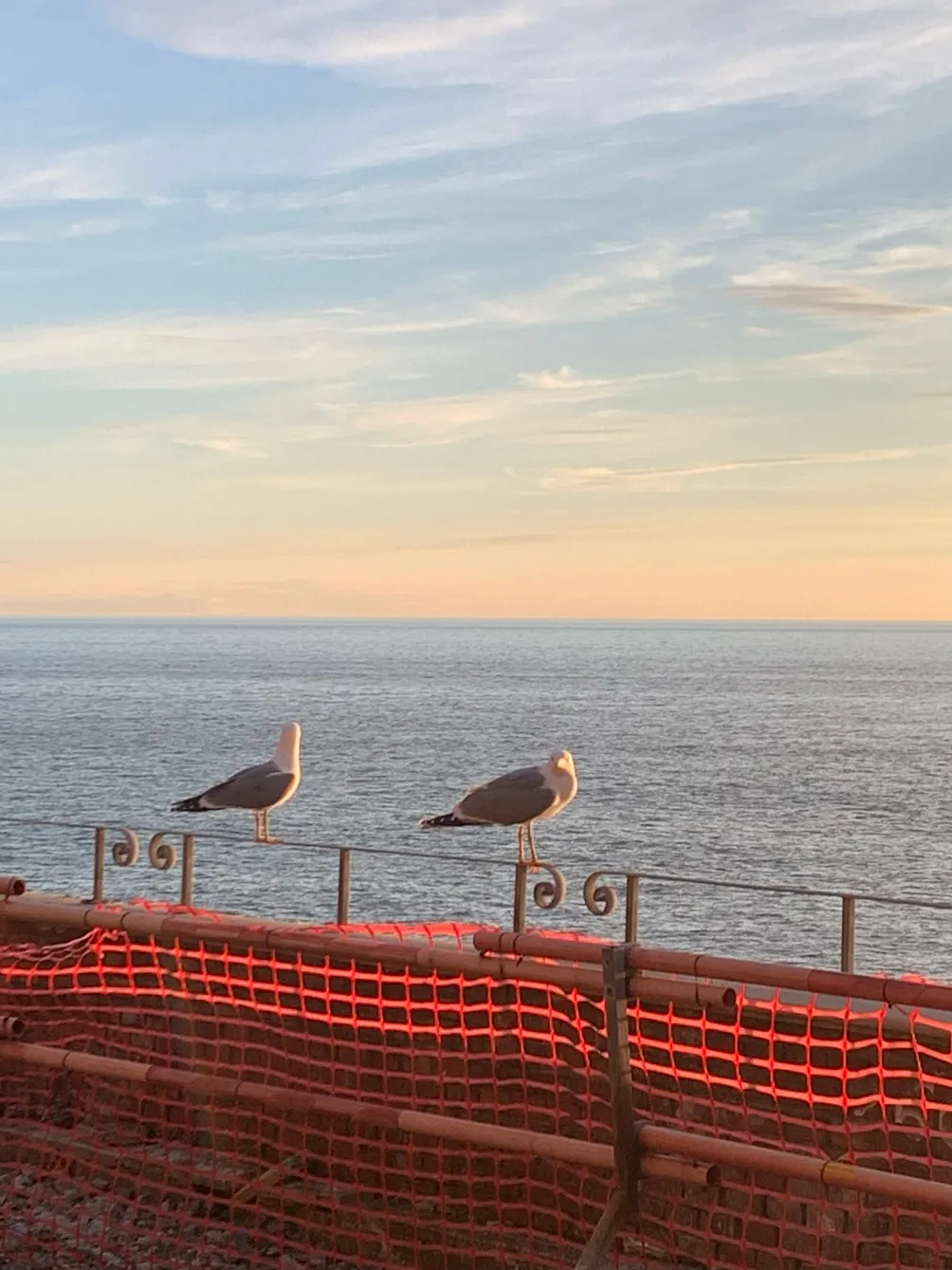 柯菲 Kefyi｜藝文遊紀