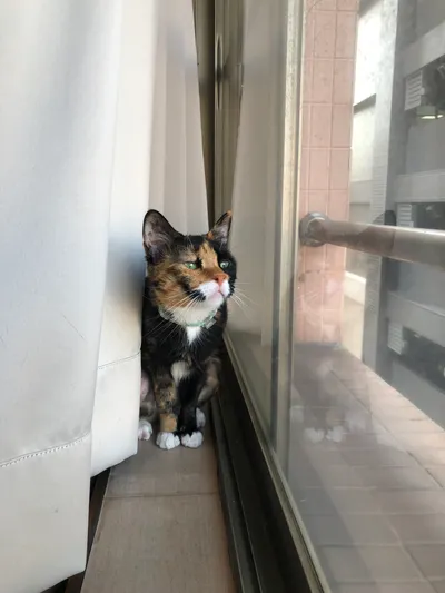 大雪後第一個週末