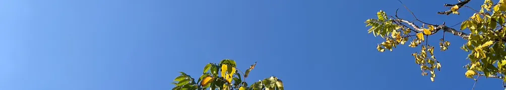 玄乙的小日子的沙龍