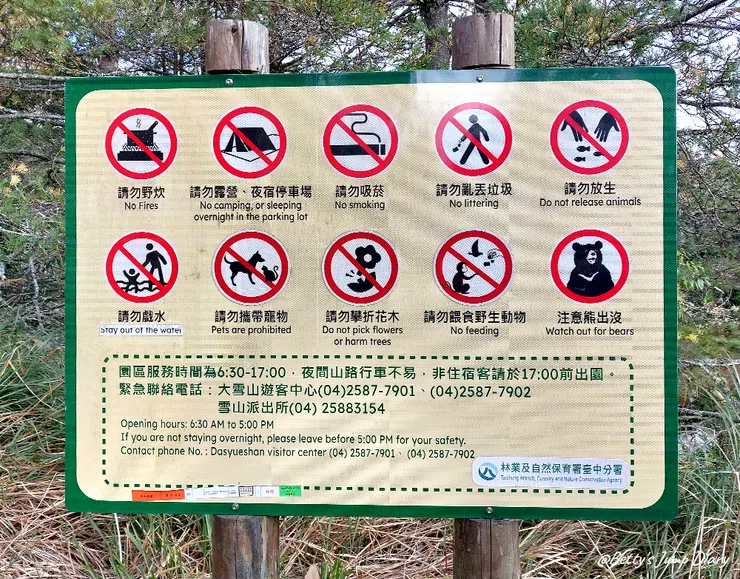 ▲台中「大雪山國家森林遊樂區」/圖片來源：Betty's Jump Diary