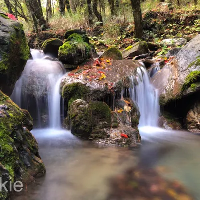 山辰法師的沙龍
