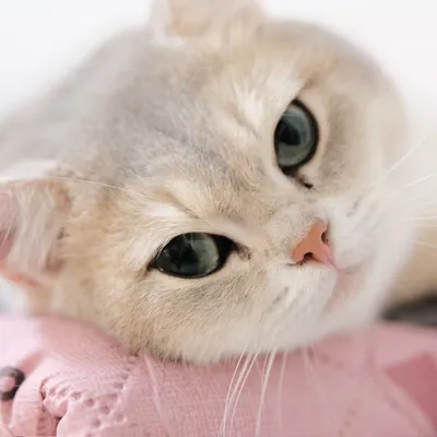 即將邁30的大叔