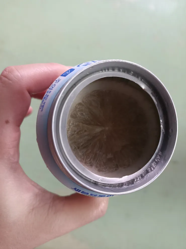 裡面真的有檸檬啊!最近很流行這種