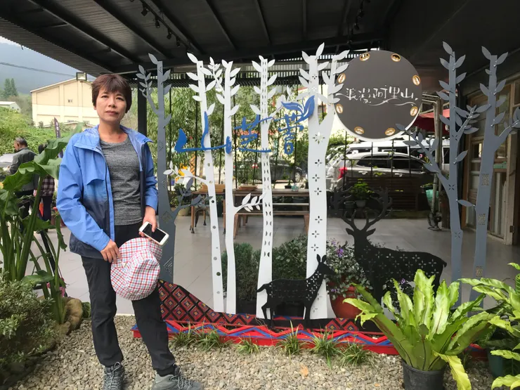 山芙蓉