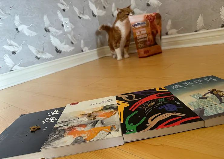 咦？我們主審官竟然對旁邊的整包美食彈藥動起了歪腦筋壞心思，請您莊重！(主審官弄翻了整包後狂吃，在手忙腳亂中阻止，回頭才發現順序有點錯了，請見諒)哭