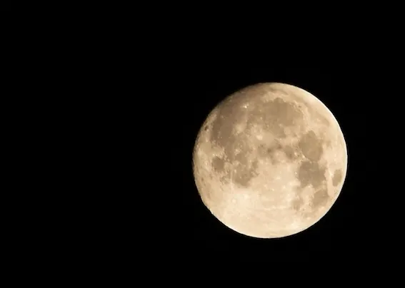 2016年中秋節攝於自家