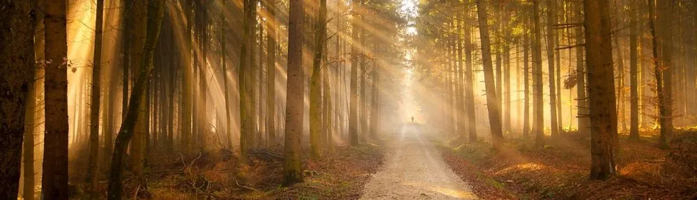 沒有辦公室的人生策略長