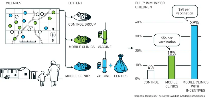 扁豆與接種疫苗研究