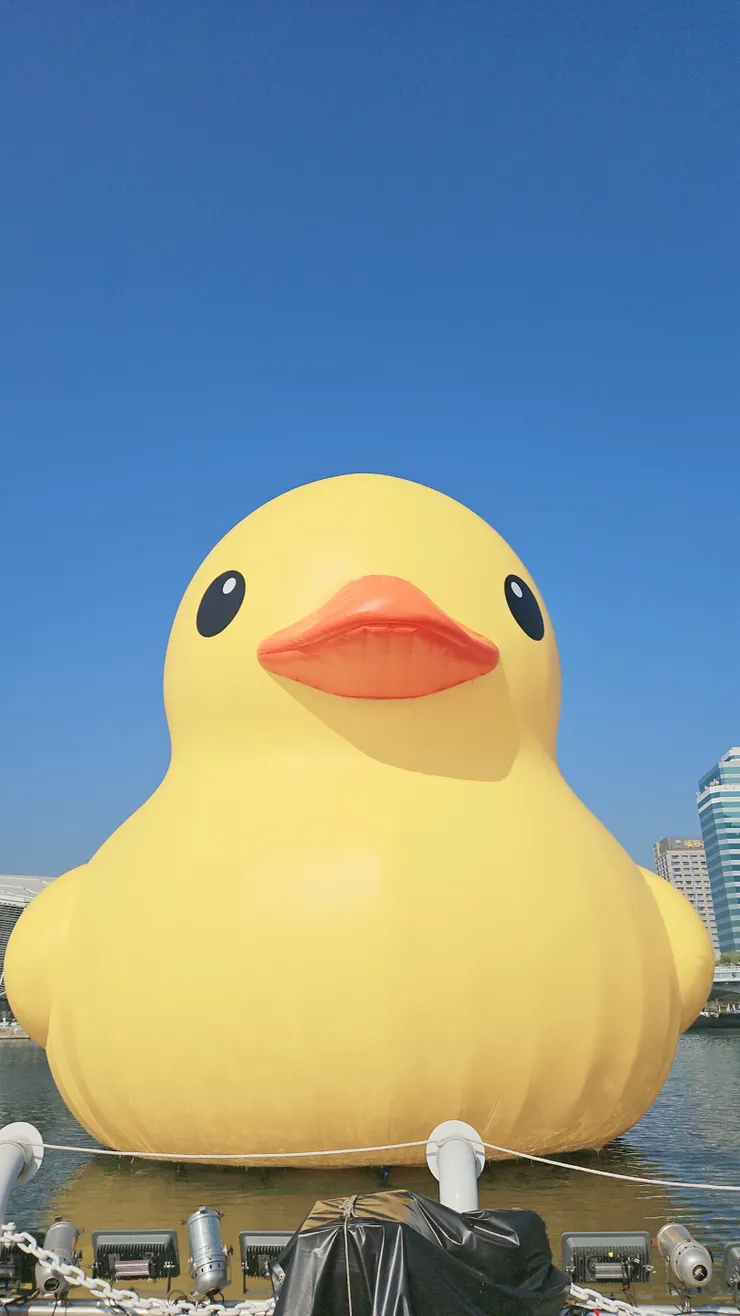 好可愛的黃色小鴨🐥