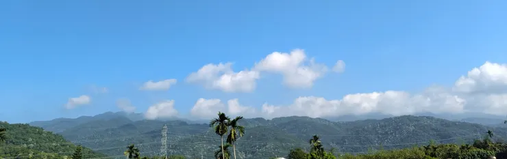 仔細看喏！遠近都開好開滿囉！