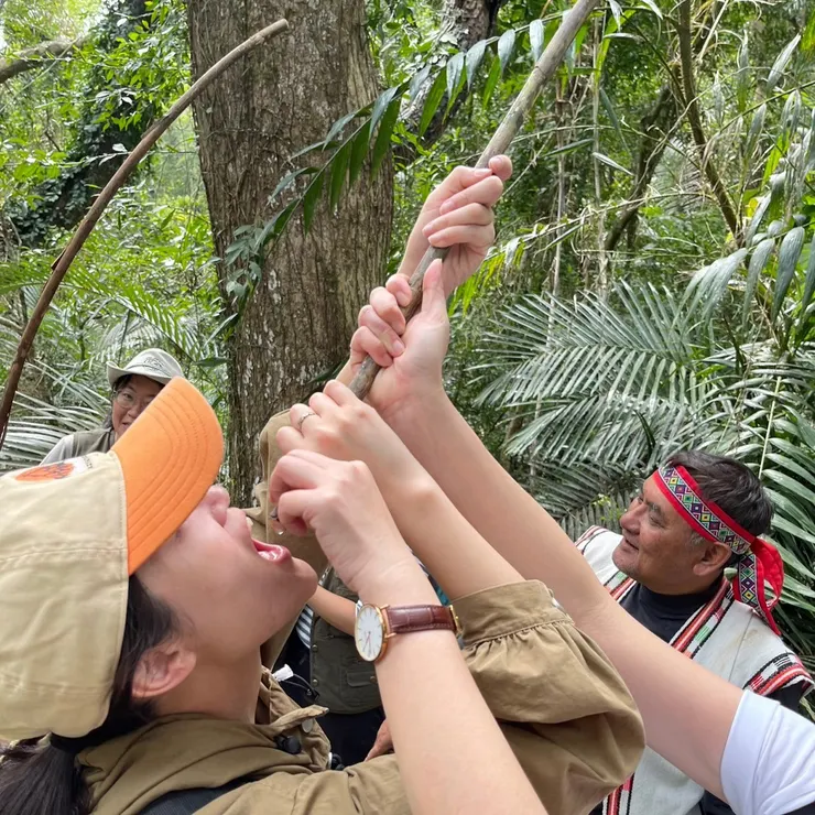 台灣黃藤的汁液可以飲用
