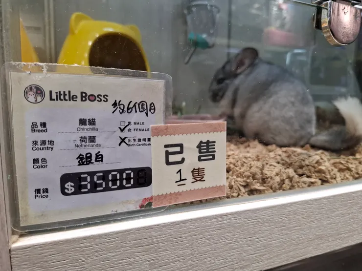 以港幣計算。咦！看產地，原來也是坐飛機來的喔！