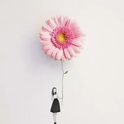 藥師漢娜的沙龍