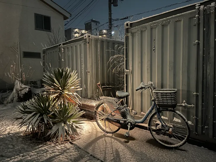 下雪的庭院其實也很有氛圍感，我們當天就坐在室內，透過落地窗看外面的雪景。