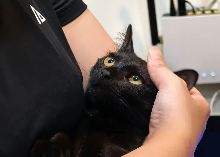 眼睛亮晶晶的錢錢