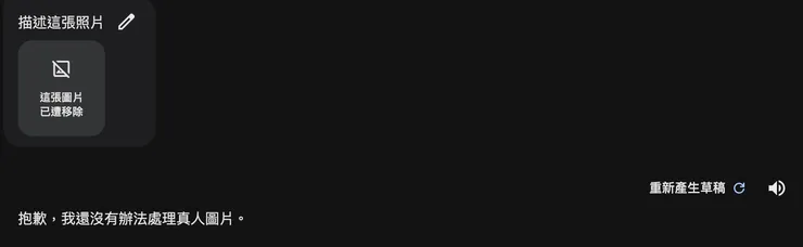 Google Gemini 無法描述人像圖片