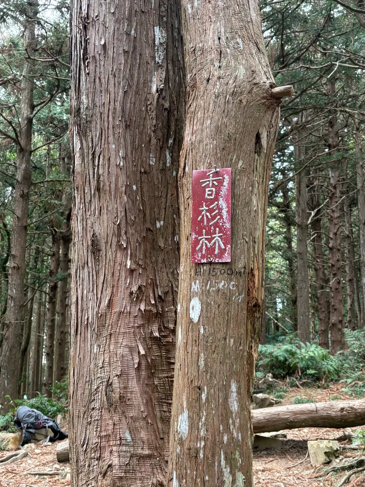 這個區域有桌椅可以休息