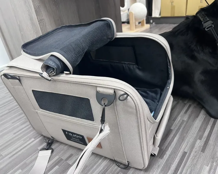 RR的外出包提包