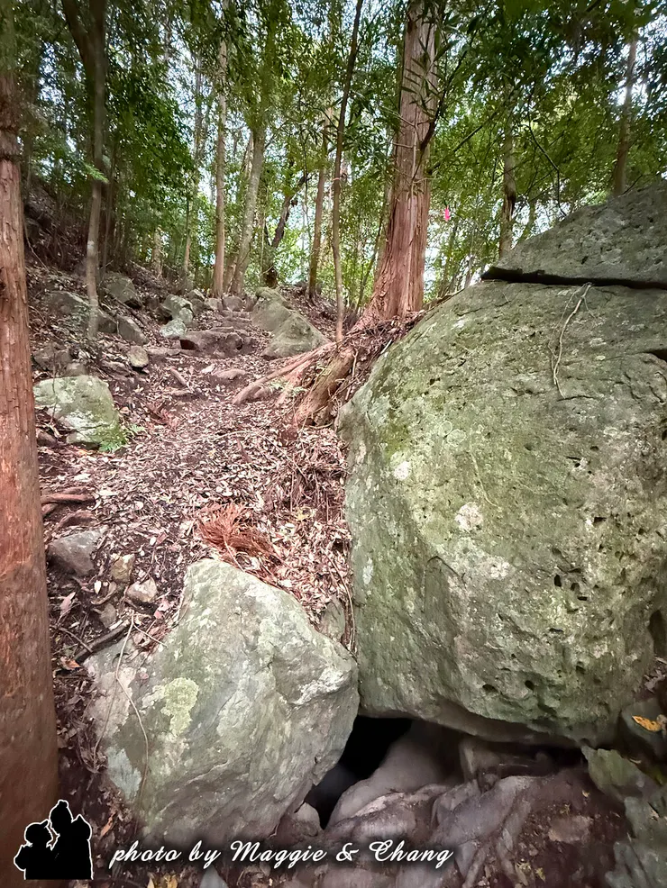 胎內石洞出來象徵重生，是熊野古道最具儀式感的起點。