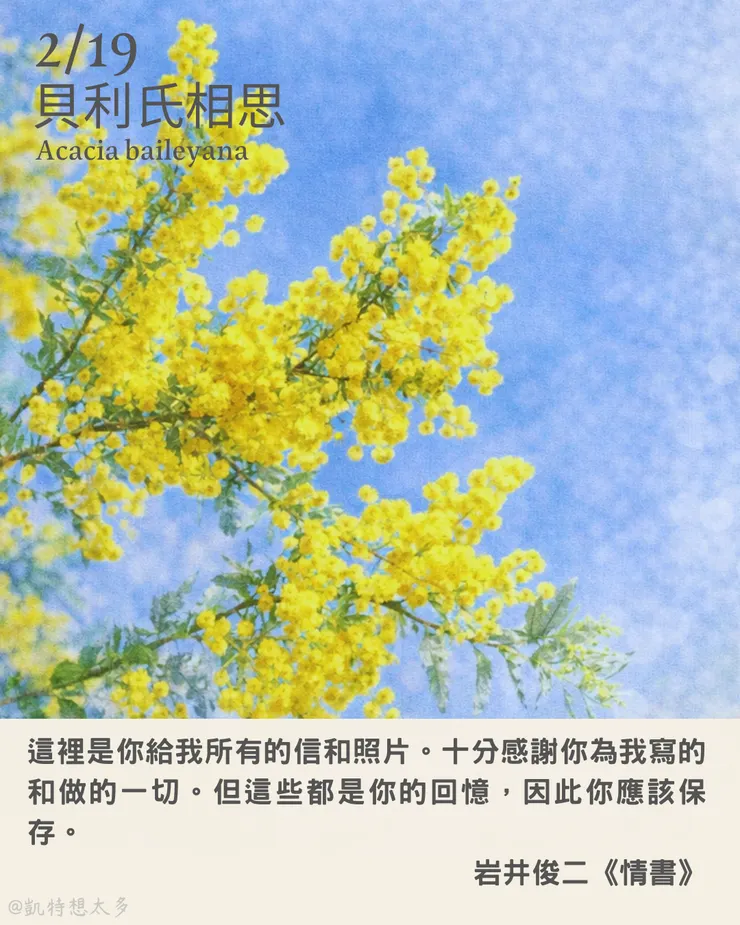 2 月 19日｜貝利氏相思×岩井俊二《情書》