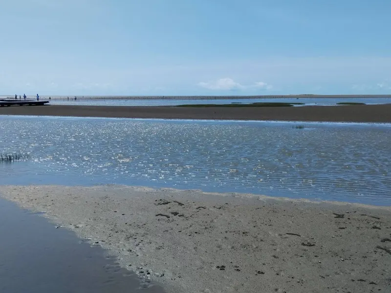 src