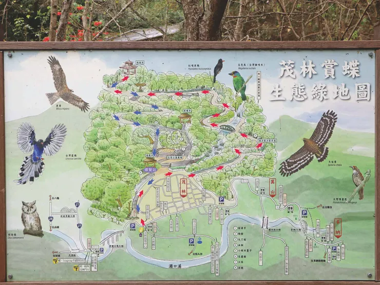 2025-2026 茂林雙年賞蝶季-茂林賞蝶生態綠地圖。