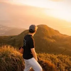 亂世無為無尾熊的沙龍