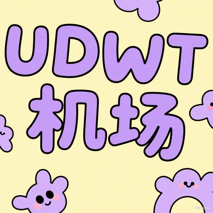 udwt机场
