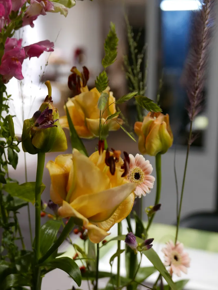 最特別的是黃色燒賣百合，為了避免授粉後枯的快，可把橘色花蕊拿掉