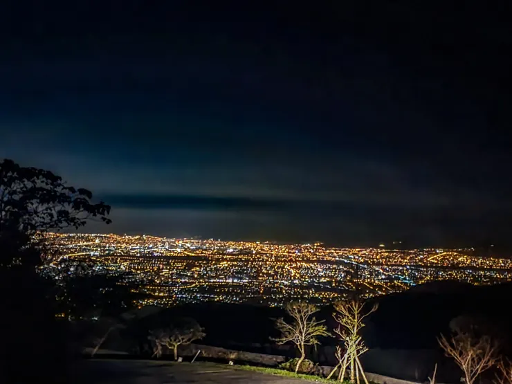 雖然我拍的不好，但櫻花陵園的夜景真的超讚