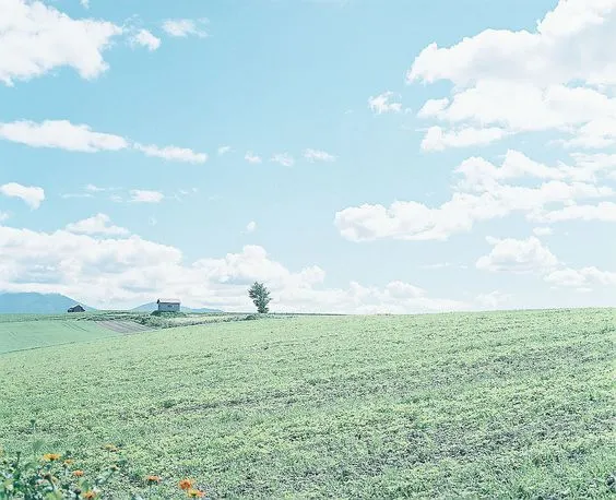 停止壞種子，種下好種子