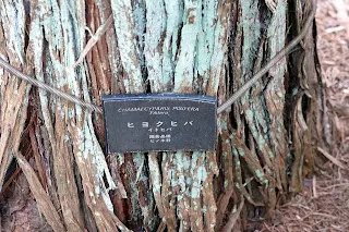 src