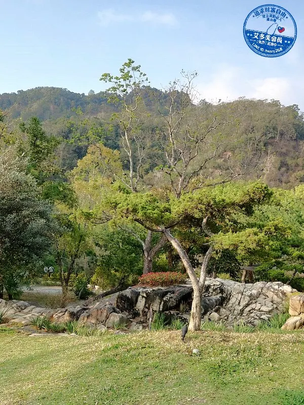 南投國姓新景點｜春水山林