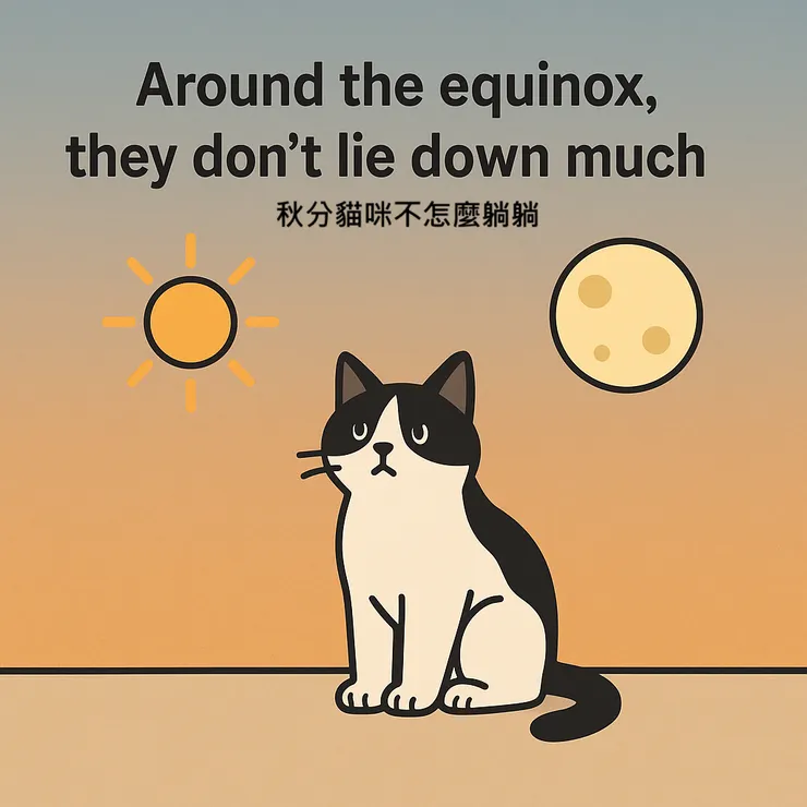 秋分貓咪不躺躺，是不是因為晝夜對分呢？圖片作者：ChatGPT
