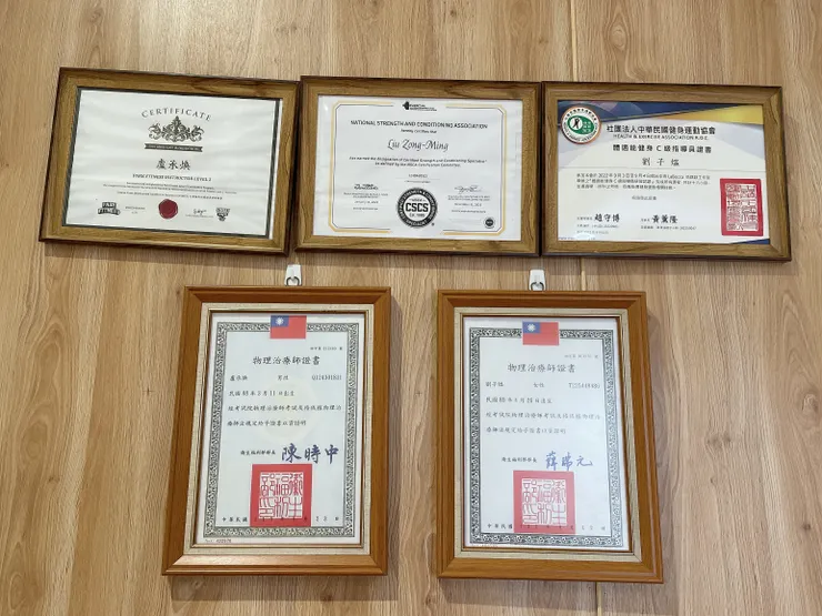 專業物理治療師的執照