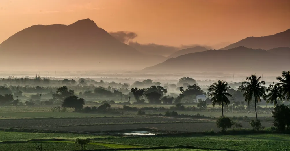 阿特瑪 • 阿育吠陀 aatma ayurveda