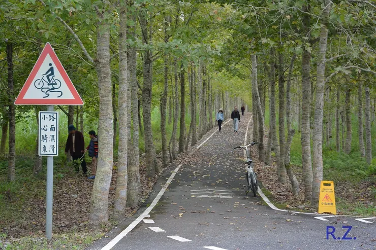 森林對人類貢獻良多 (陳傳義 拍攝)