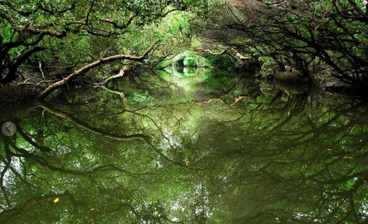 上圖取自台南旅遊網