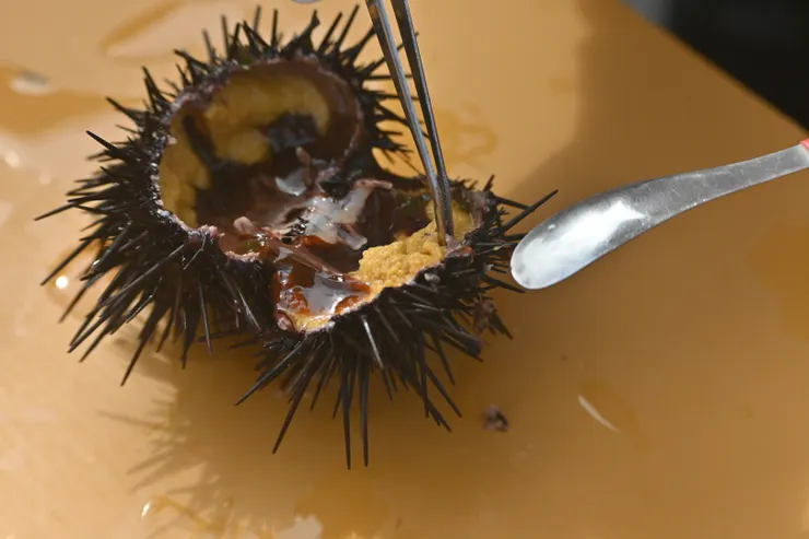 剝海膽體驗，附在海膽肉上的黑黑的東西是海膽的胃/攝影:NANA濕婦